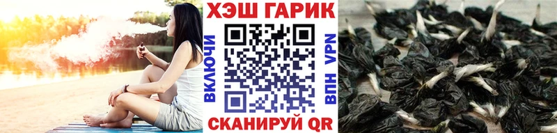 закладка  Жуковка  ГАШ Изолятор 